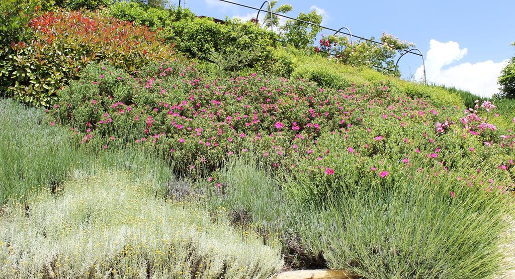 Farm stay Le Fonti A San Giorgio